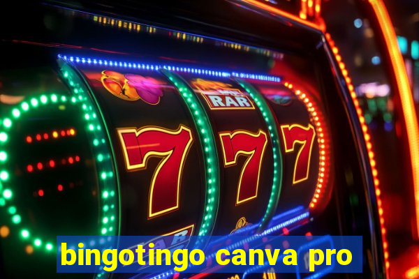 bingotingo canva pro